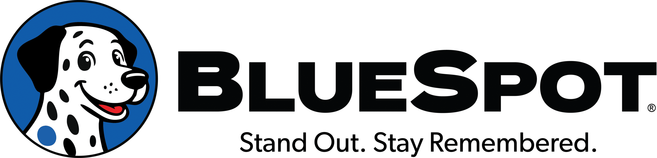 BlueSpot